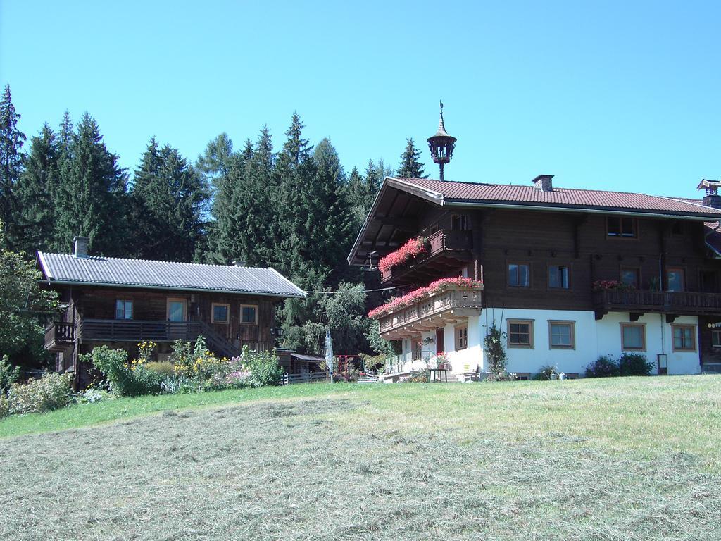 Mitterhaidgut Villa Hollersbach im Pinzgau Exterior foto
